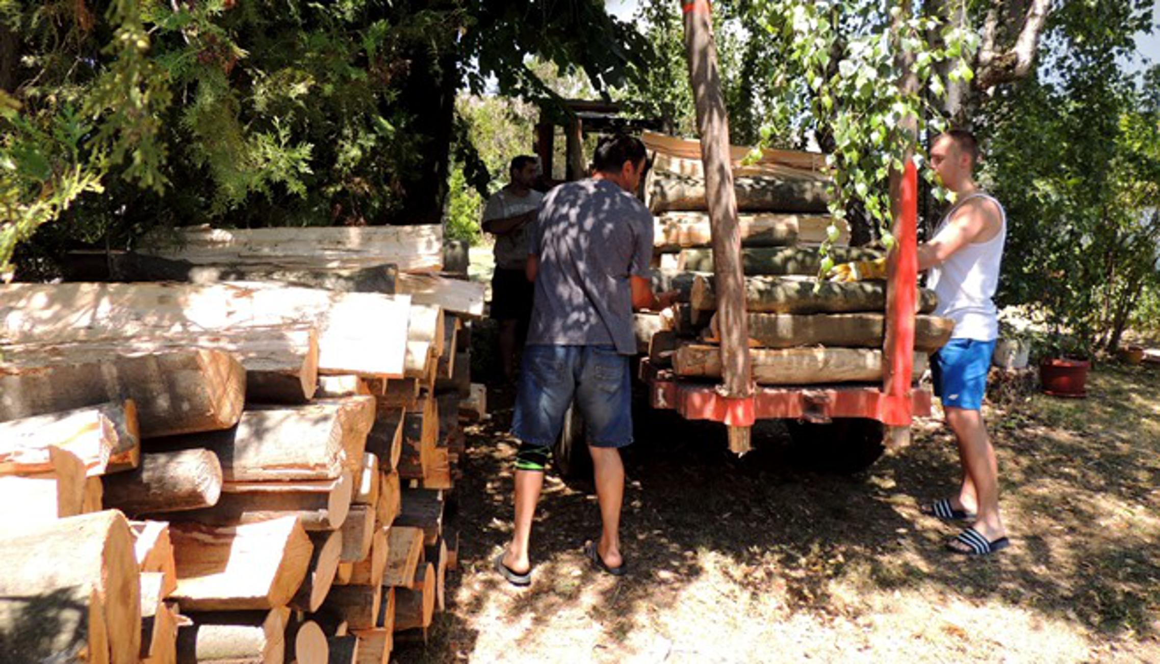Prodavači i dostavljači drva za ogrjev u Slavonskom Brodu