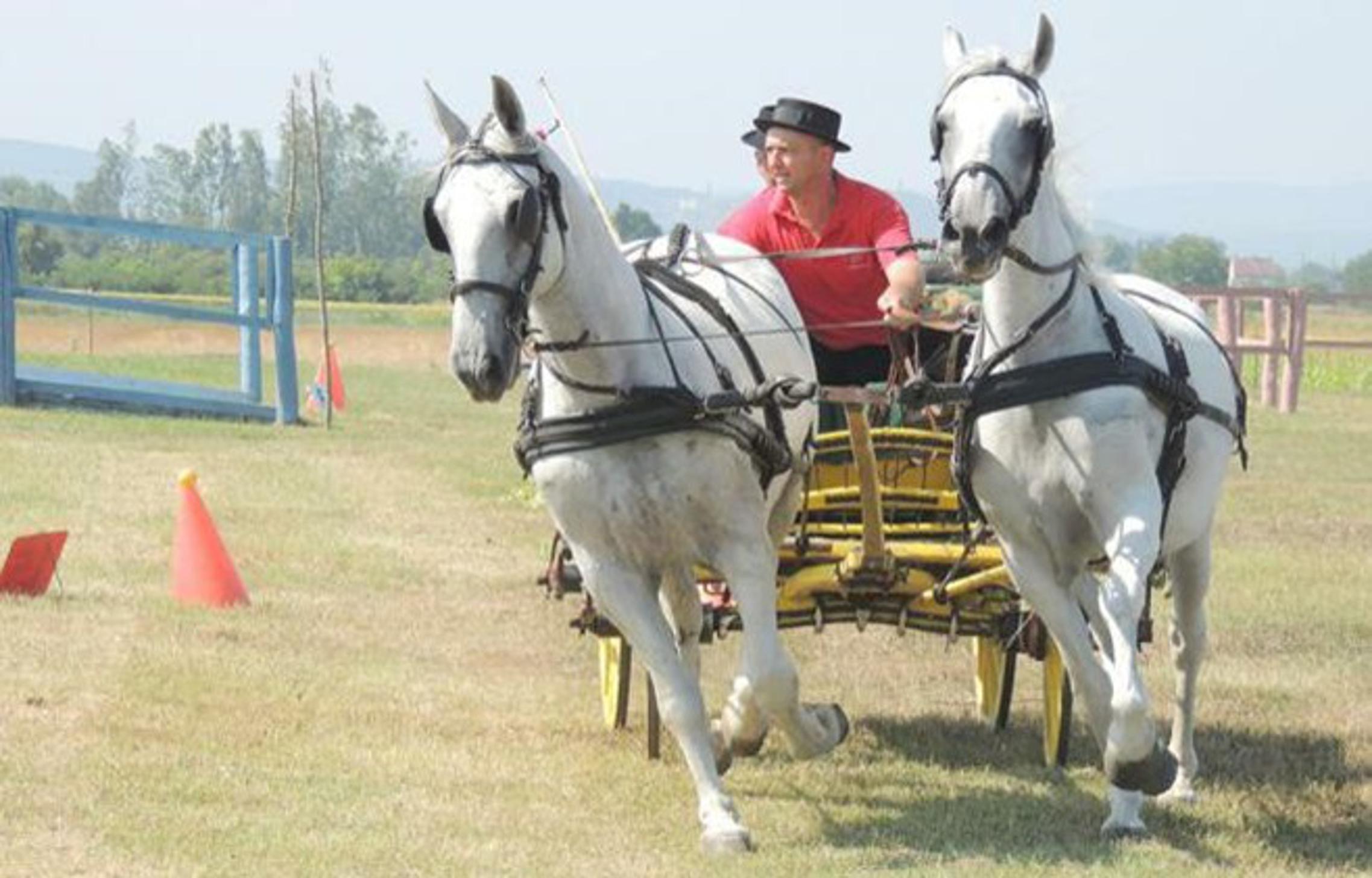 Konjičko natjecanje u Ruščici