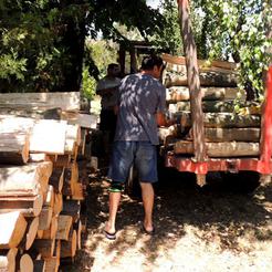 Prodavači i dostavljači drva za ogrjev u Slavonskom Brodu