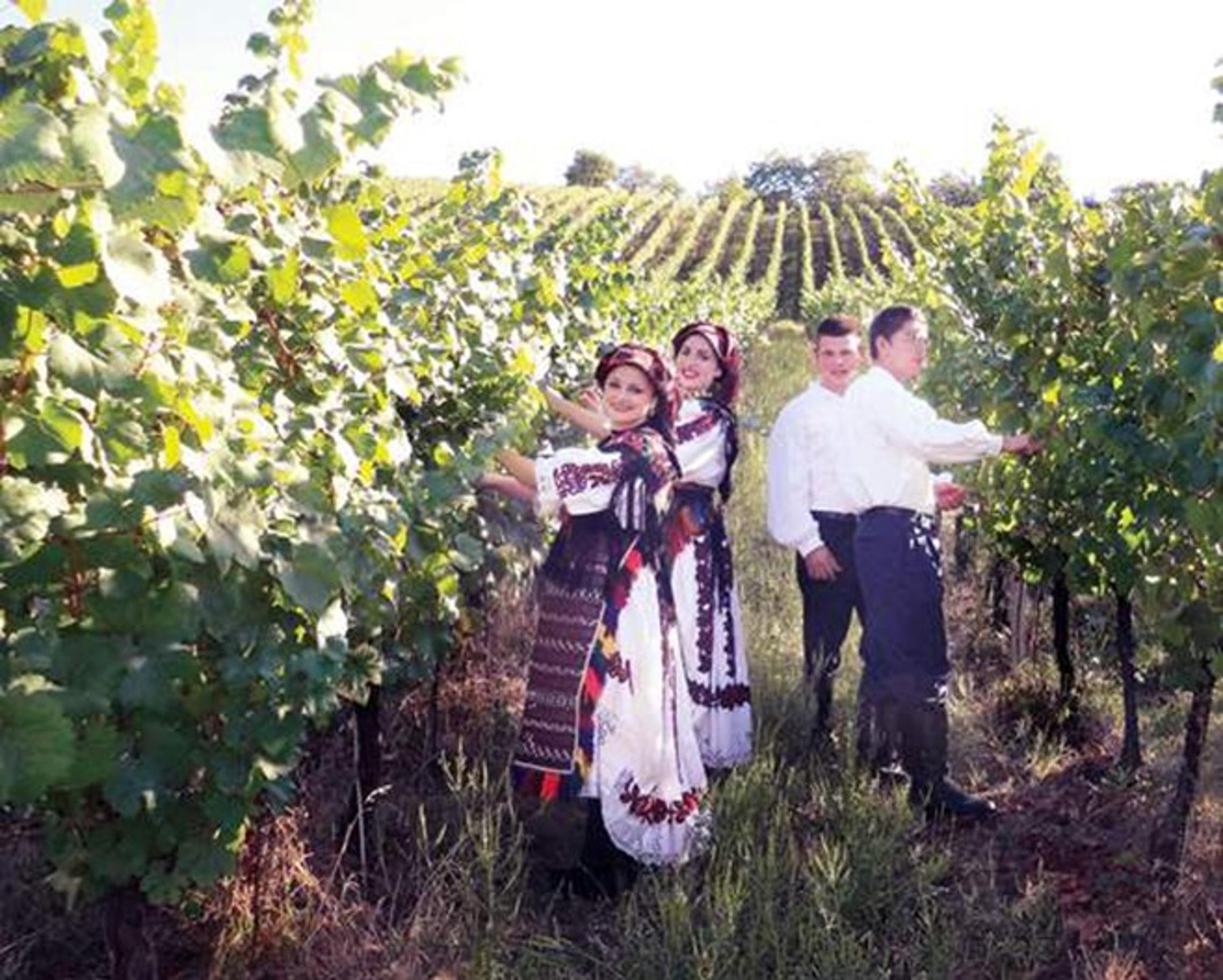 Stupnički vinogradi