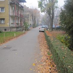 Jedan od ulaza u Pavićevo Plavo polje (Foto: V. Lukić)