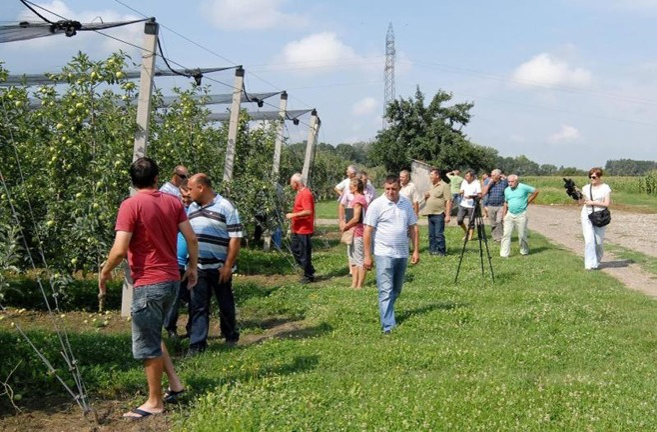 U voćnjaku Obiteljsko-poljoprivrednog gospodarstva "Branković" u Kruševici 