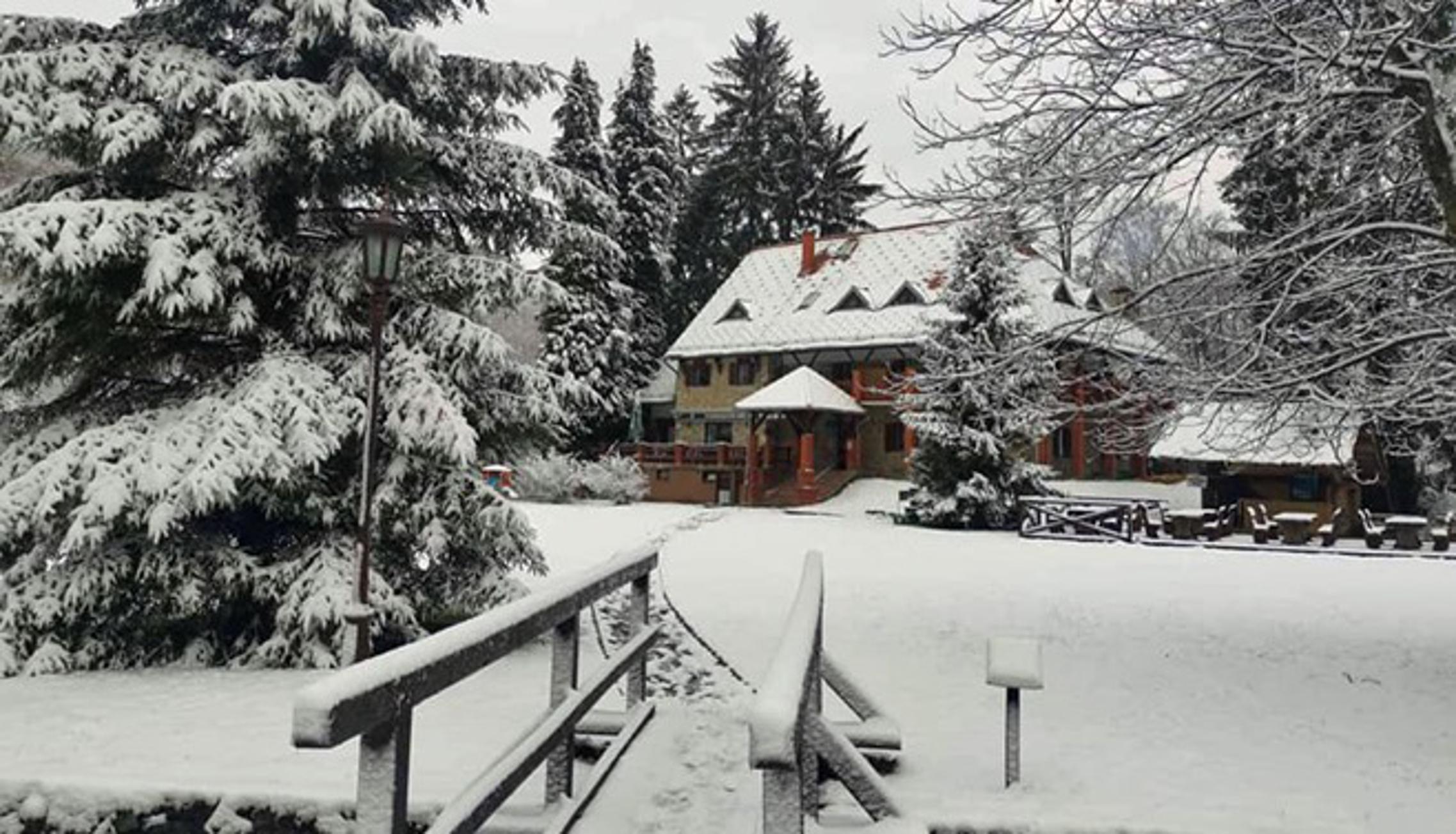 Prizor zimske idile Parka-šume „Jankovac".